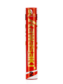 Shuttlecocks Kawasaki TEAM 2