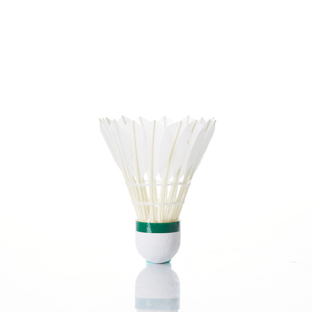 Badminton shuttlecocks Kawasaki CLUB 10E